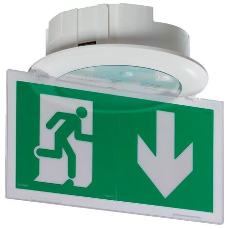 Legrand – BAES d'évacuation eco 1 à leds 45 lm 1 heure – Plastique IP66 IK10 – Fonction SATI connectée pour diagnostic à distance (1/6)