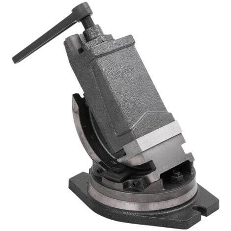 Étau inclinable à 2 axes 100 mm vidaXL