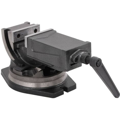 Étau inclinable à 2 axes 100 mm vidaXL