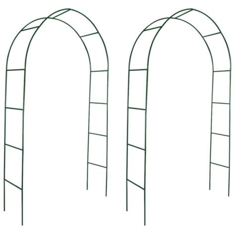 Arche de jardin 2 pcs pour plantes grimpantes vidaXL