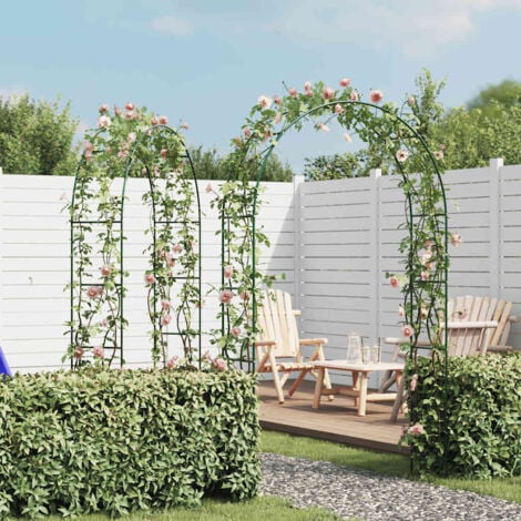 Arche de jardin 2 pcs pour plantes grimpantes vidaXL