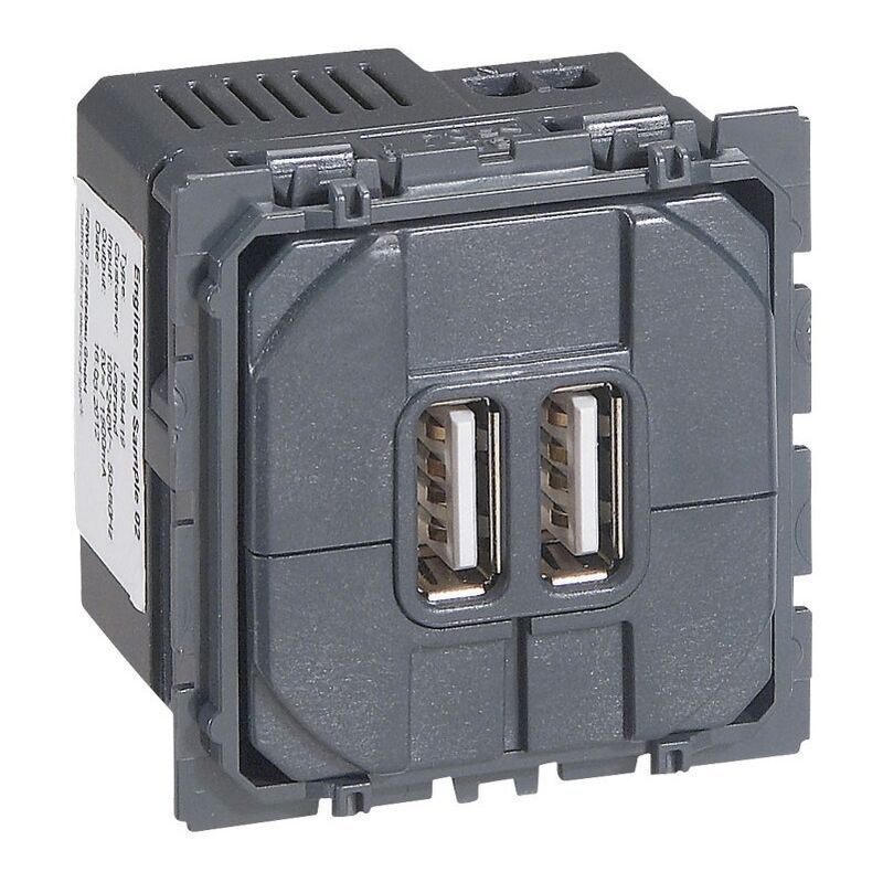 Chargeur 2 USB Céliane-Legrand
