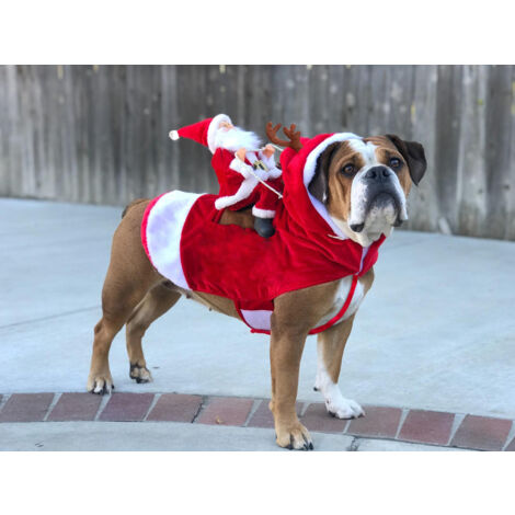 Costume Babbo Natale Per Cane - Vestito Natalizio Per Cani E Gatti, Taglia L, Rosso Con Bianco