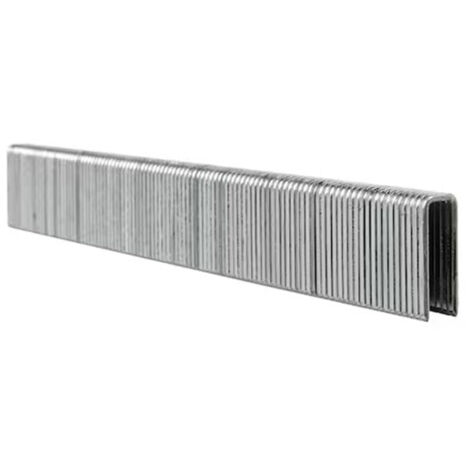 Dewalt – Boîte de 3000 agrafes galvanisées 30/35 mm – Largeur 5,6 mm – Fixation haute qualité pour bois dur – Compatible agrafeuses