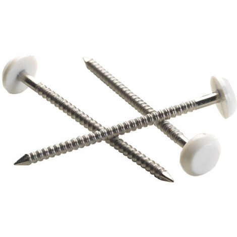 Pointe Plastop Tête Ronde inox A4 NORFIX annelée Ivoire Clair