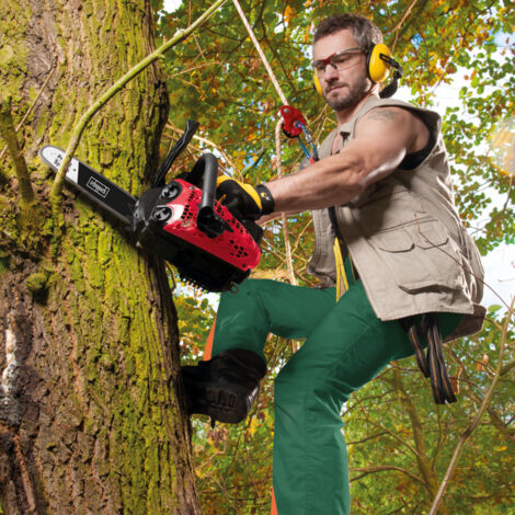 Scheppach - Tronçonneuse Thermique CSP2540 - Chaîne et Guide Procut 25cm - Lubrification automatique de la chaîne - Frein de chaîne intégré - Etui du guide inclus - Légère et Compacte