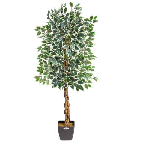 Artificial Variegated Ficus Tree - 150cm