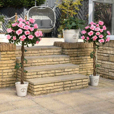 Artificial Rose - Pink (4ft)