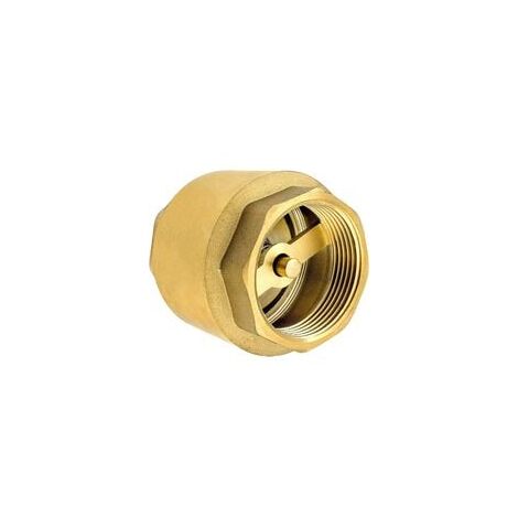 1 1/2 Zoll Rückschlagventil aus hochwertigem Messing, robust, rostfrei und wasserdicht für Pumpe, Brunnen, Waschmaschine, Garten, Regentonnen, Fass (1/5)