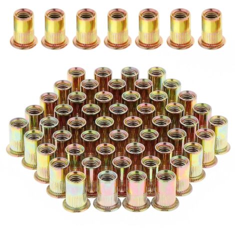 100 Stück M8 Flachkopf-Nietmuttern mit Gewinde, verzinkte Nietmuttern aus Kohlenstoffstahl, Sortiment M8-Nietgewindeeinsätze für Metall und Kunststoff (14 mm x 18 mm) (1/5)