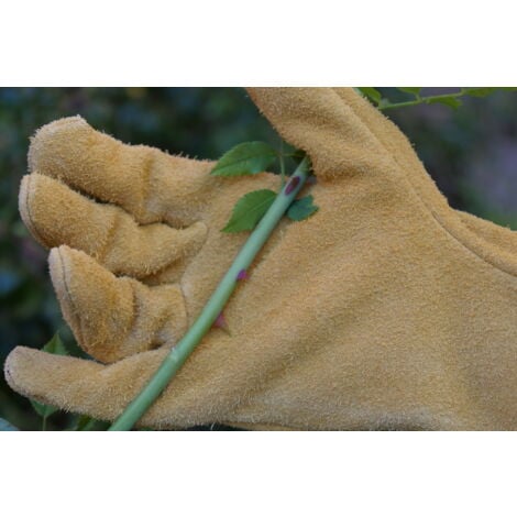 Gants de protection cuir épines et ronces RONCIER Beige Taille 9 Rostaing