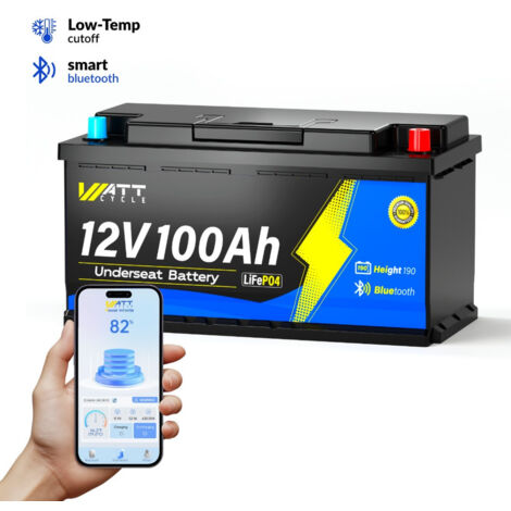 ECO-WORTHY Batterie Lithium LiFePO4 48V 50AH,Batterie Vehicule, protection BMS pour système solaire,camping-car,bateau - Auto
