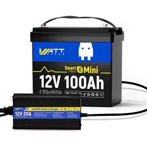 Batterie LiFePO4 Au Lithium 12 V 300 Ah, BMS 200 A Intégré, Plus De