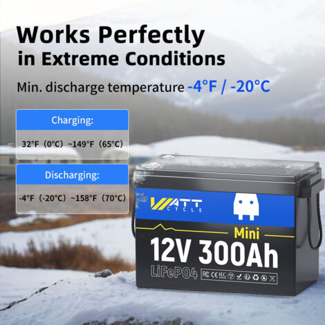 Batterie Lithium Lifepo4 12V 300AH - Cellules Qualité A - BMS Intégré - Camping, Solaire, Pêche - Garantie 5 Ans