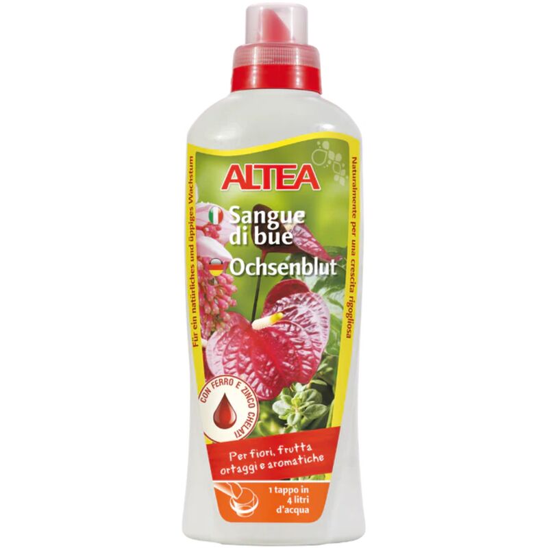 Scarpe Occhio Di Bue Glitter Primi Passi Angelitos - MIPA MODA - Foto 11