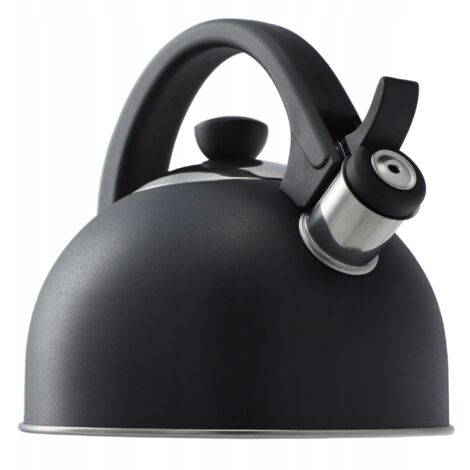 KADAX Bouilloire en acier inoxydable - 1,7 l - Différentes couleurs - Pour tous les types de plaques de cuisson - Bouilloire rétro - Anthracite (1/5)