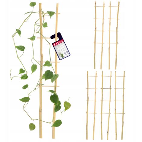 KADAX Lot de 5 échelles en bambou - En forme de V - Hauteur : 38 cm - Double (1/5)