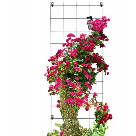 Kadax – Pergola de jardin support métallique 65x170cm – Fil solide 6mm – Peinture en poudre contre corrosion – Protection UV intégrée (1/5)