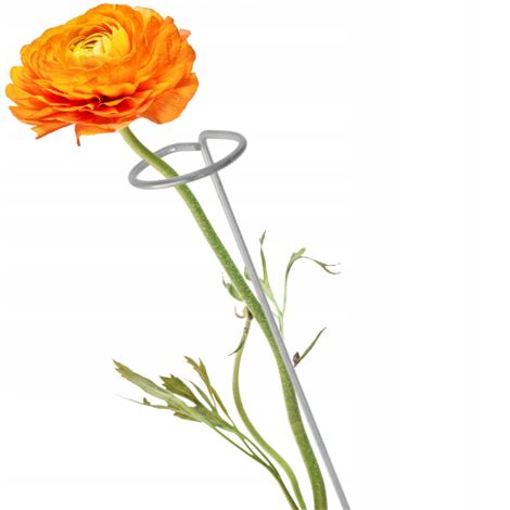 KADAX Support Support pour Fleurs et Plantes Roses Acier 90 cm (1/5)