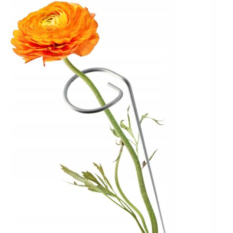 KADAX Support Support pour Fleurs et Plantes Roses Acier 60 cm (1/5)