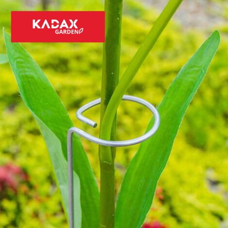 Lot De 12 Supports Pour Plantes De Jardin, Support De Fleurs, Piquets De Plantes, Anneau Demi