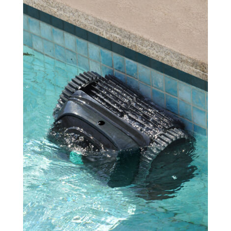 well2wellness® Spazzola per la pulizia della piscina con manico e setole nere