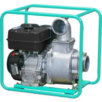 Motopome selbstansaugend IMER benzinbetriebenes Wasser TP110EX 2V0004022