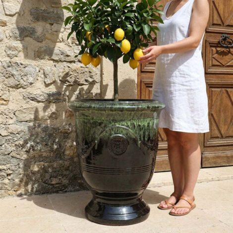 AMALYS - Coffrets cadeaux - Le Bijoutier International