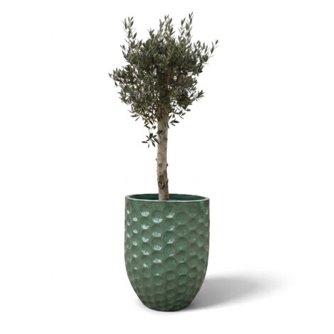 Lot olivier + pot grande taille MEROVEE 72x75cm perle de jade, fait main en terre cuite émaillée