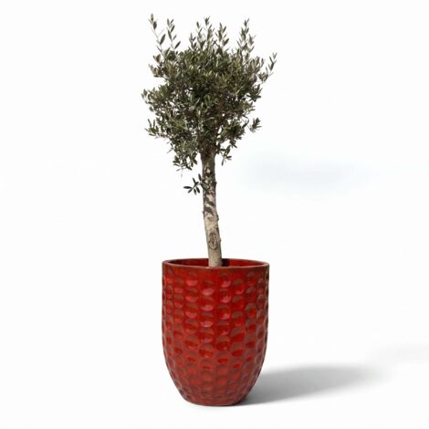 Lot olivier + pot grande taille MEROVEE 72x75cm rouge tropical, fait main en terre cuite émaillée