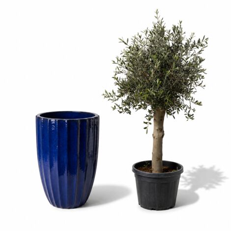 Lot olivier + pot grande taille HUGO 55x71cm bleu cobalt, fait main en terre cuite émaillée