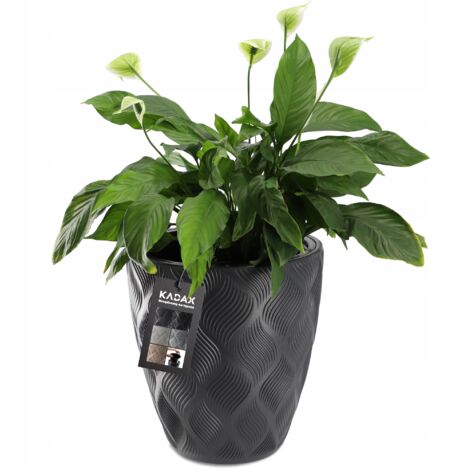 Blim Verona Vaso Di Fiori, Antracite, 18 Cm
