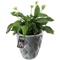 Vaso da fiori KADAX con inserto, coperchio grigio, 32,5 cm