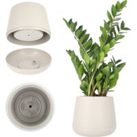 KADAX Vaso da Fiori in Plastica Ø 13-23 cm 4 Colori Ovale con Sottobicchiere Incluso nel Kit Vaso da Fiori