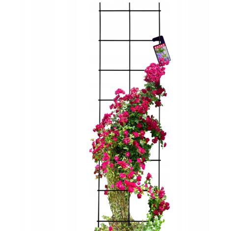 KADAX Pérgola De Jardín Enrejada Para Plantas Trepadoras 35x120