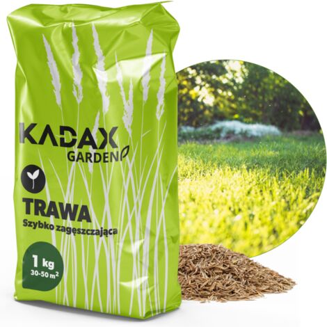 KADAX Semillas De Hierba Universal Césped Resistente Engrosamiento Rápido 1kg 40M2