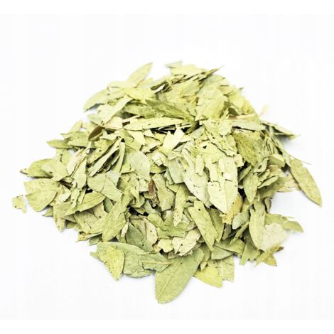 SENSE SENNESS HOJA 1 KG 100% NATURAL TIENDA
