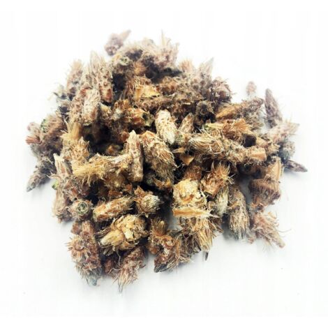 Brotes de pino enteros 1 kg 100% naturales. Tienda.