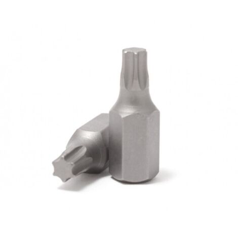 Punta TORX T45x10mm L-30mm (1/2)