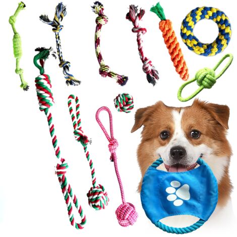 Juego de 12 juguetes masticables resistentes para perros, un conjunto robusto y duradero de juguetes PetJet. (1/5)