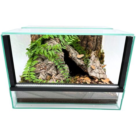 Terrario de cristal con equipo de 30x30x20cm para arañas terrestres
