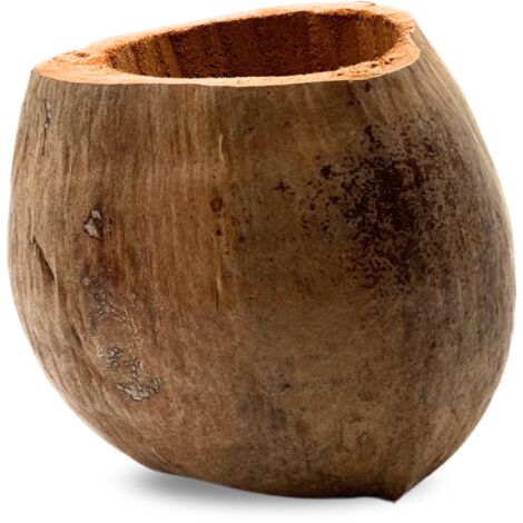 Maceta BioCoco Maceta de Coco para Orquídeas Epífitas