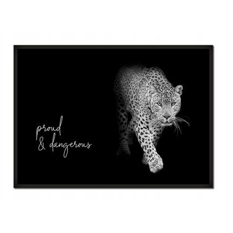 CUADRO, PÓSTER ENMARCADO 53x73 cm Animales P625 (1/4)