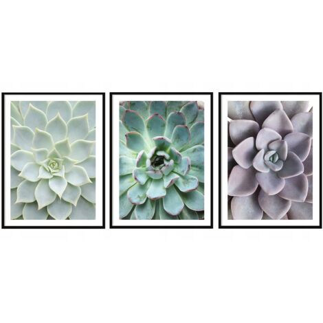 CARTELES CON FOTOS EN MARCO 53x73cm Tríptico Conjunto de 3 cuadros Hojas Flores P2006