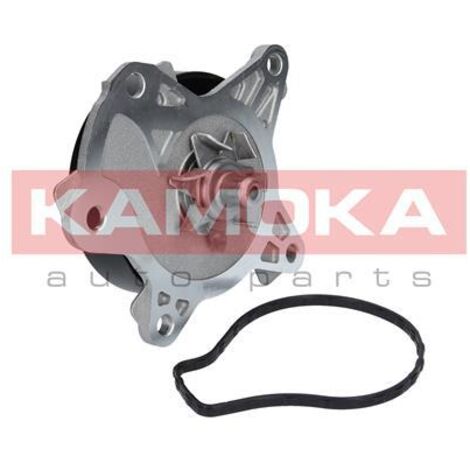 Bomba de agua Kamoka T0262 (1/4)