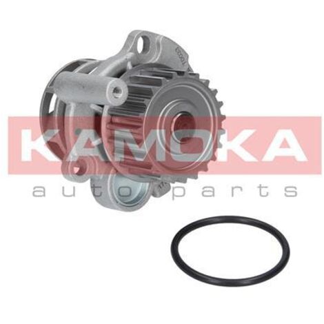 Bomba de agua Kamoka T0033 (1/4)