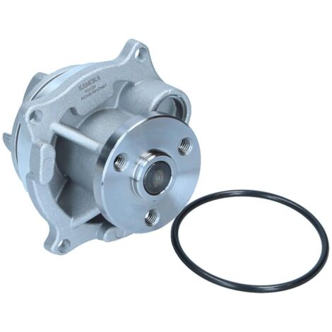 Bomba de agua Kamoka T0129 (1/4)