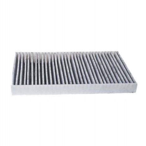 Filtro de habitáculo RENAULT MEGANE CC (EZ0/1) (1/2)