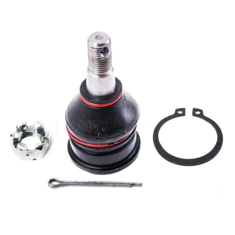 PIN delantero inferior TOYOTA YARIS (P9) PLATZ, ECHO (1/2)