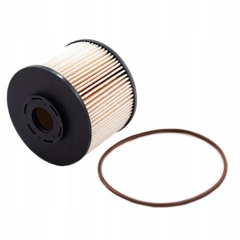 FILTRO DE COMBUSTIBLE CITROËN FIAT FORD PEUGEOT TOYOTA